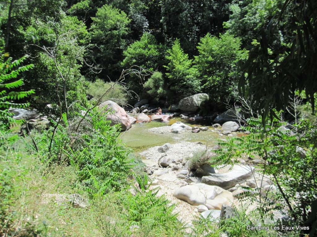 Les Eaux Vives Camping *